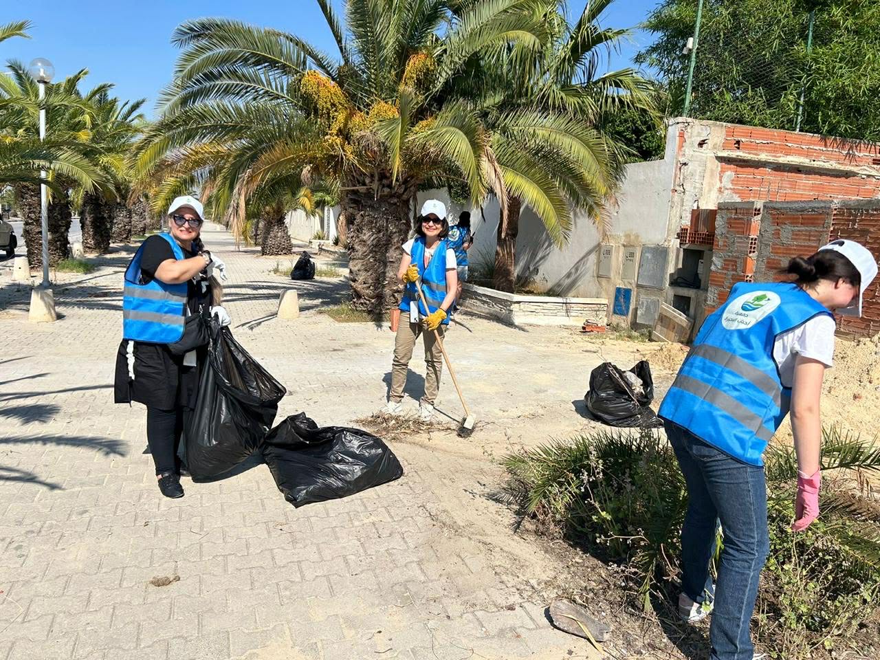 Plantation d’arbres