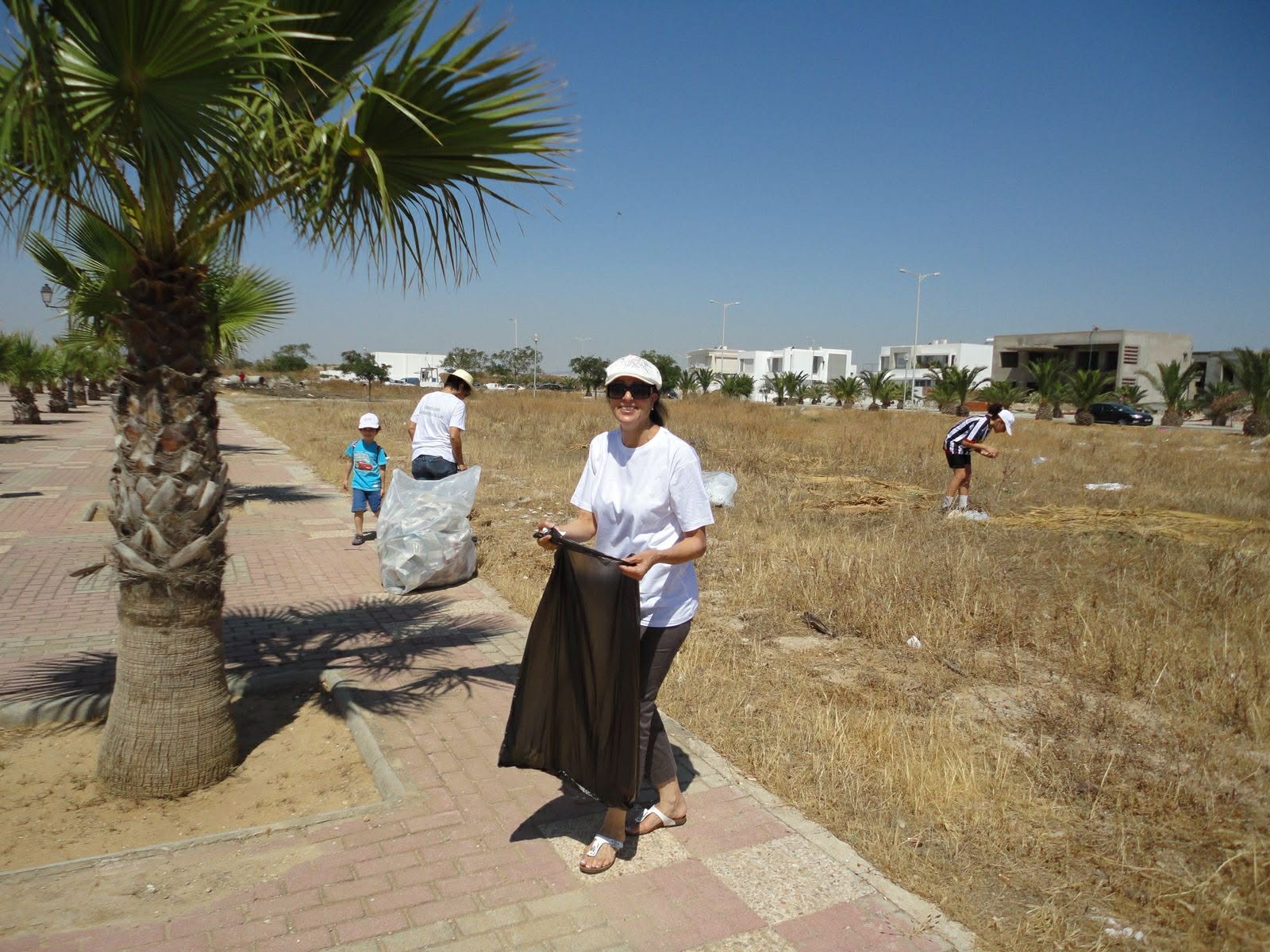 Plantation d’arbres