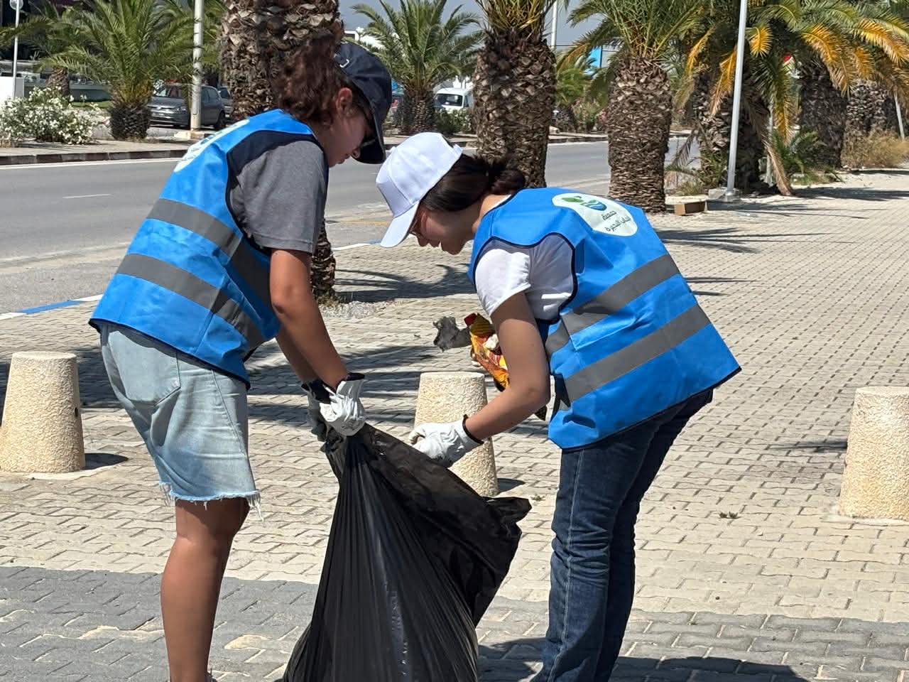 Plantation d’arbres