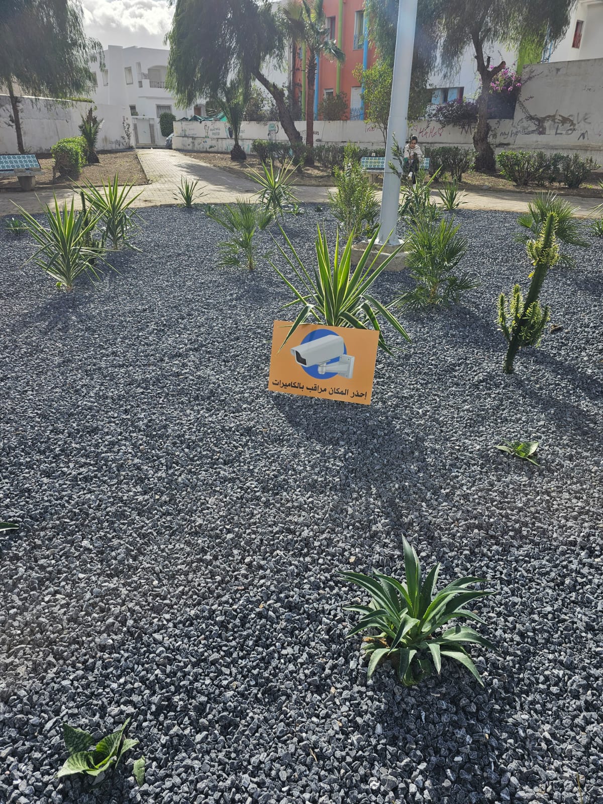 Plantation d’arbres