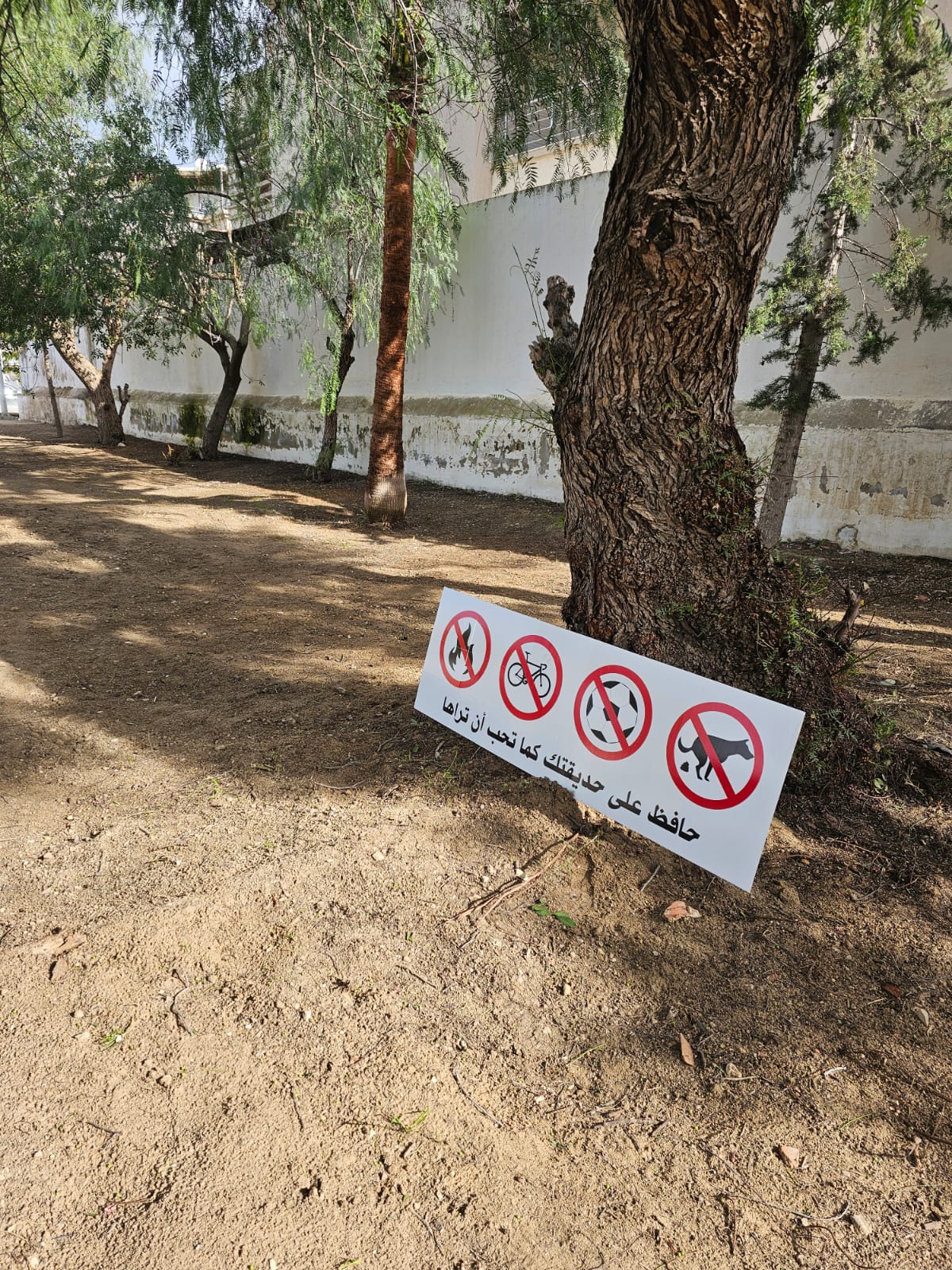 Plantation d’arbres