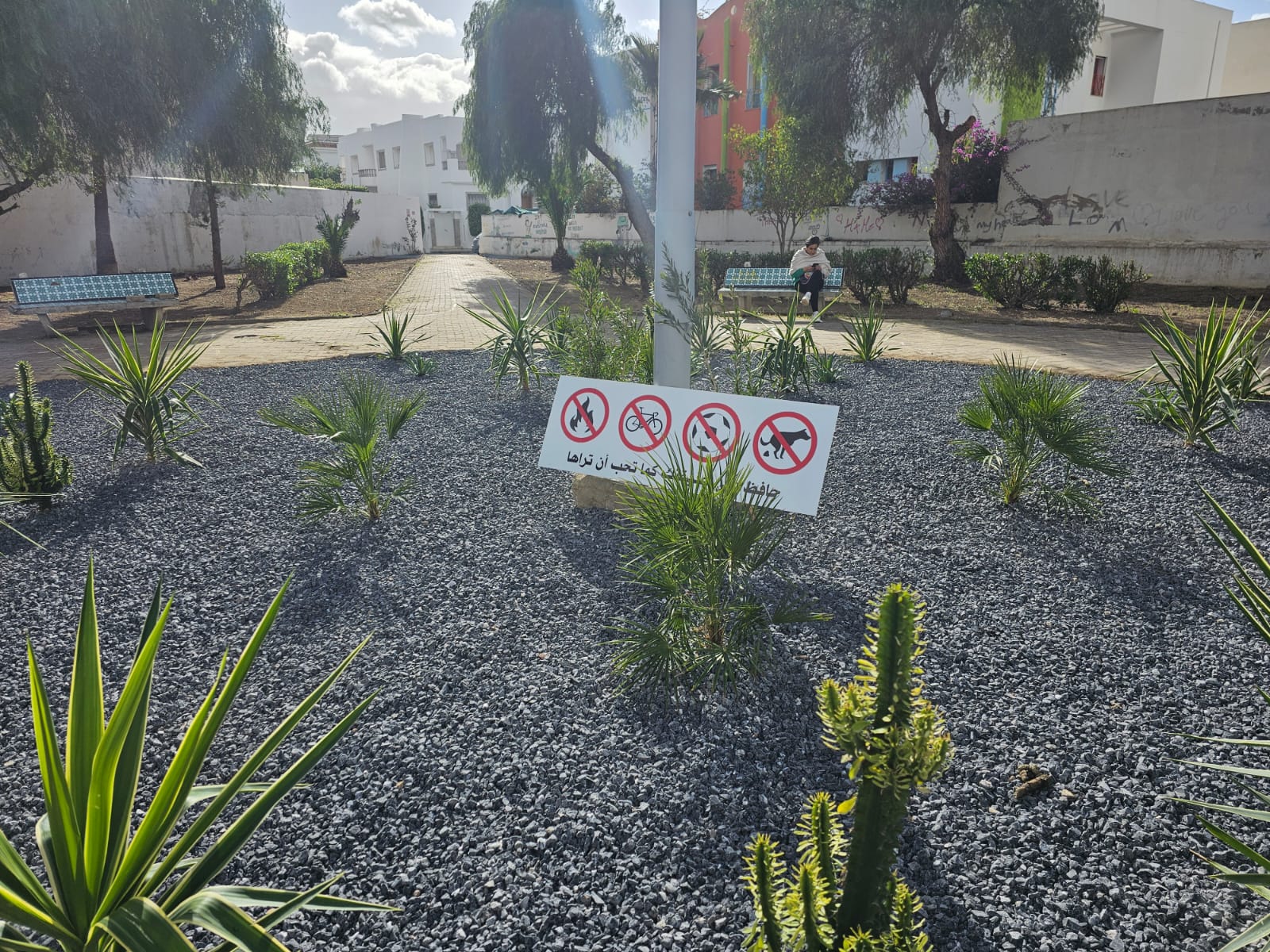 Plantation d’arbres