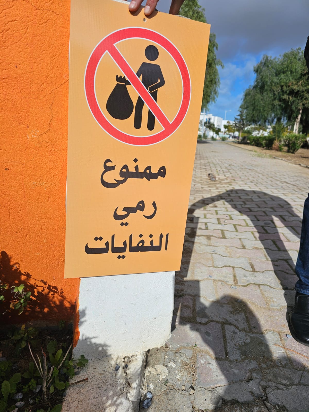 Plantation d’arbres