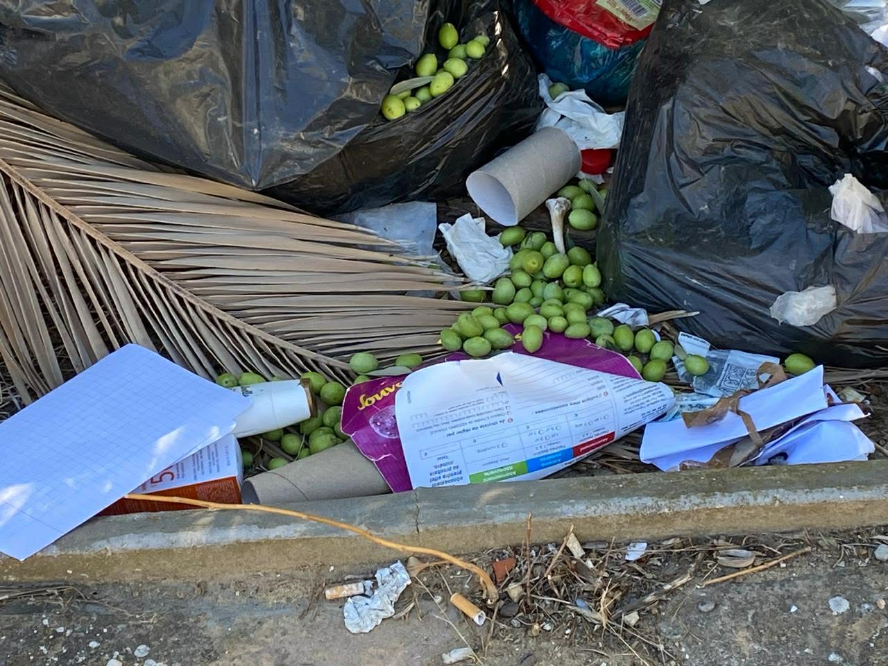 Plantation d’arbres