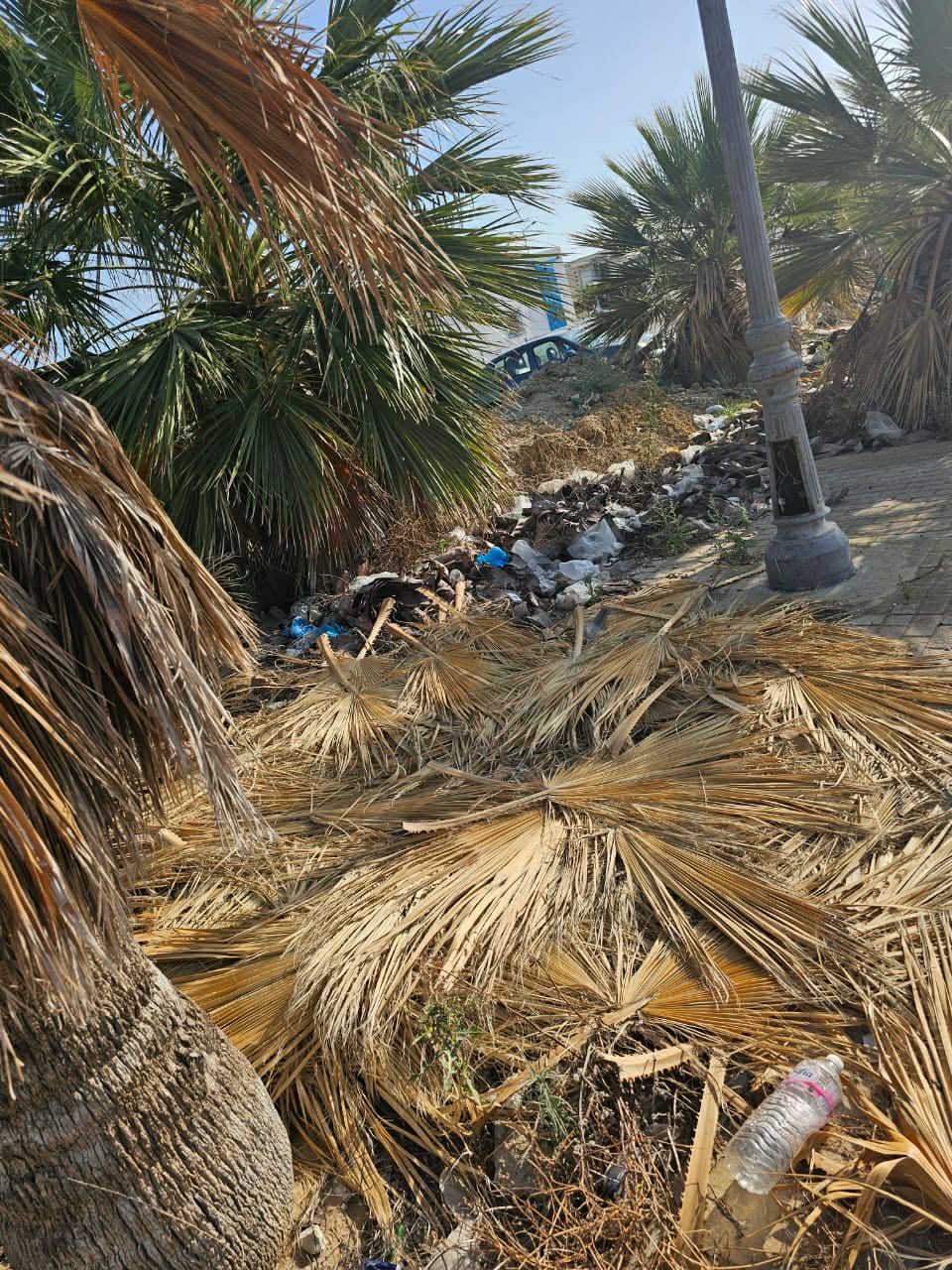 Pique-nique des voisins