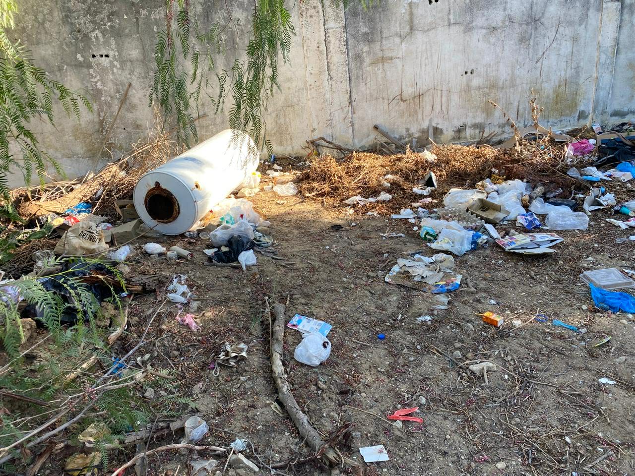 Nettoyage de la berge