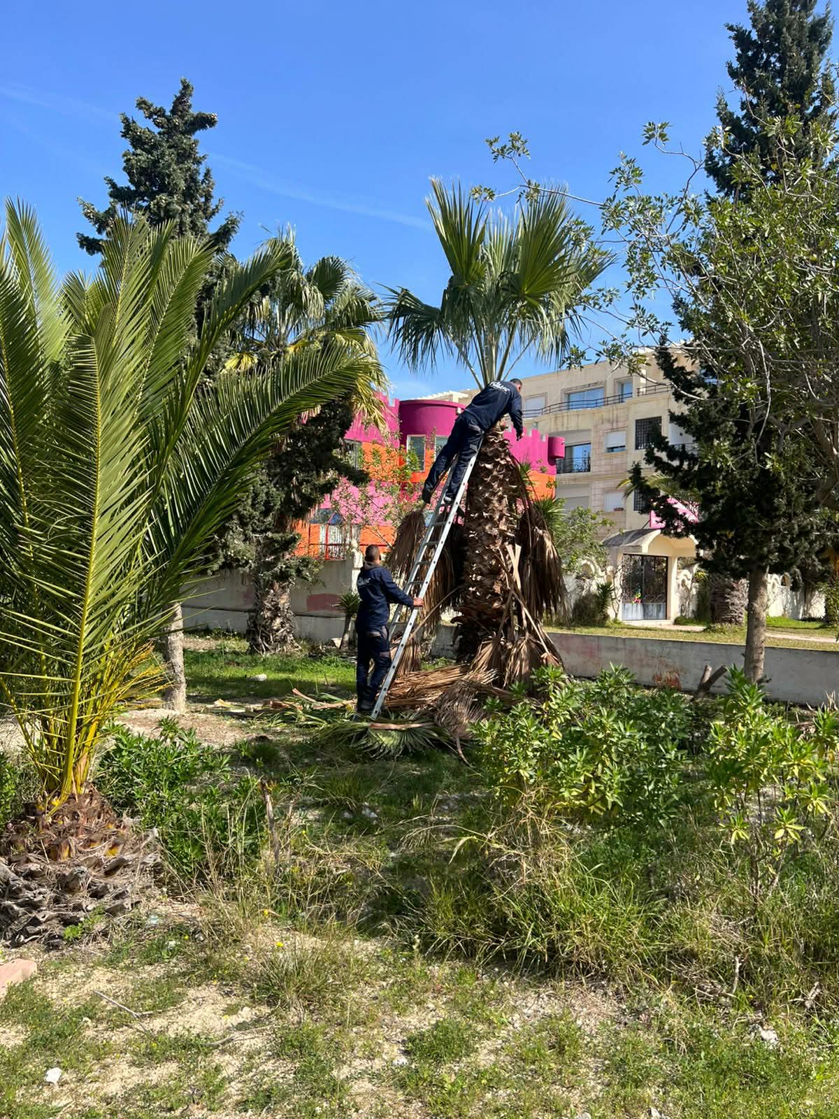 Pique-nique des voisins