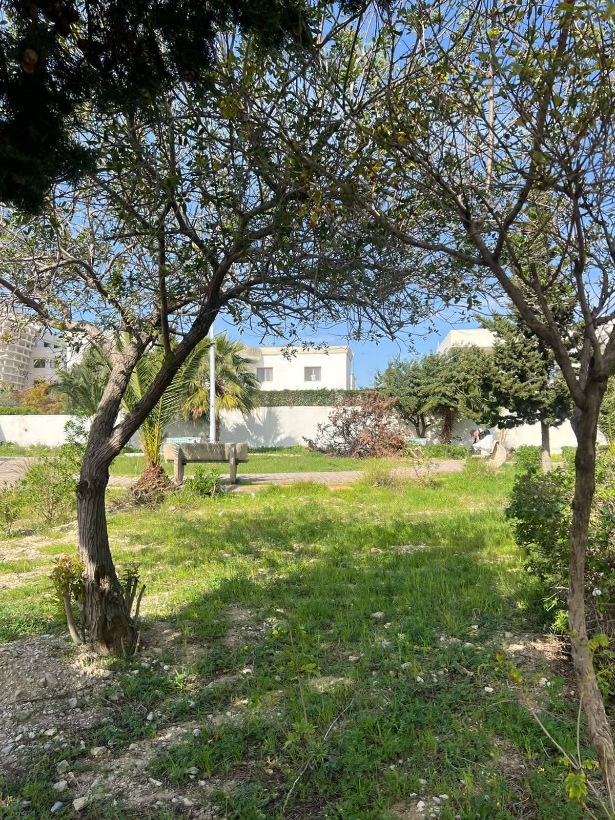 Plantation d’arbres